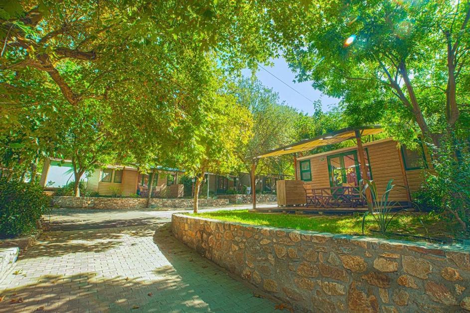 Armenistis Camping & Bungalows Szárti Kültér fotó